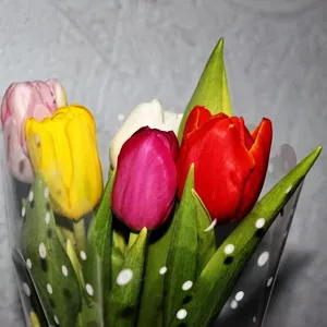 Голландские тюльпаны оптом в Новосибирске к 8 марта от производителя